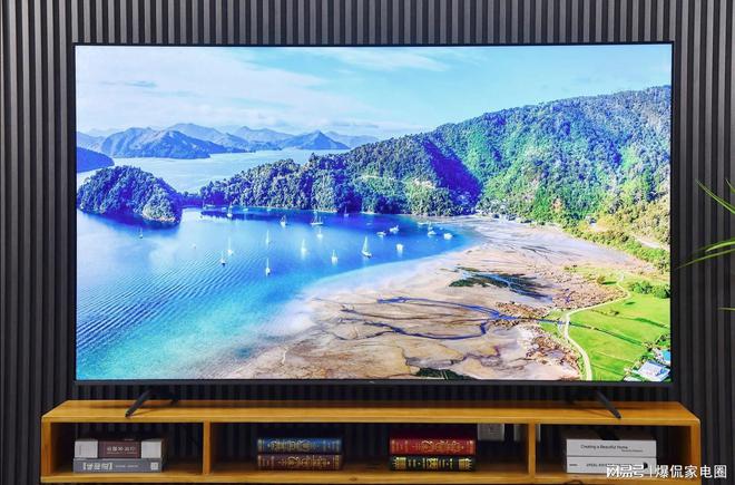 电品牌选谁最好？横评结果一目了然85寸电视长和宽是多少？4大彩(图11)