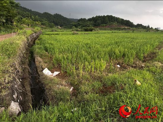 田设施成“摆设”重庆等地高标准农(图4)