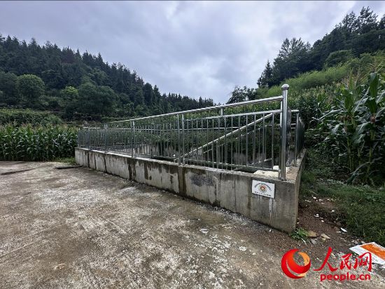 田设施成“摆设”重庆等地高标准农(图3)